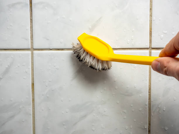 Best Mold Damage Repair  in La Grange, NC